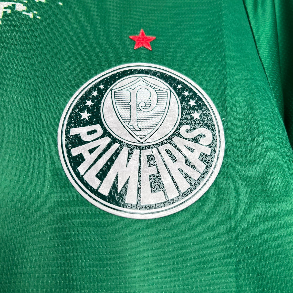 Palmeiras Camiseta 2024/25 - Edición Especial