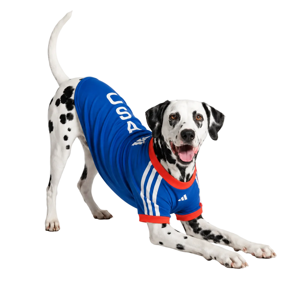 USA Camiseta de Mascotas 2026