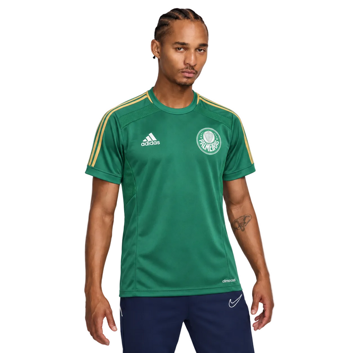 Palmeiras Camiseta Local 2014 - Retro