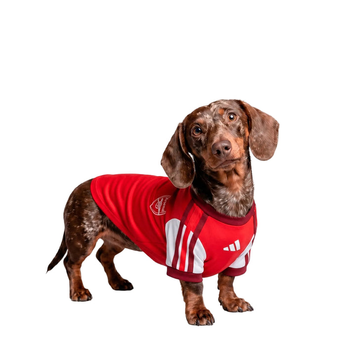Arsenal Camiseta de Mascotas 2026/27