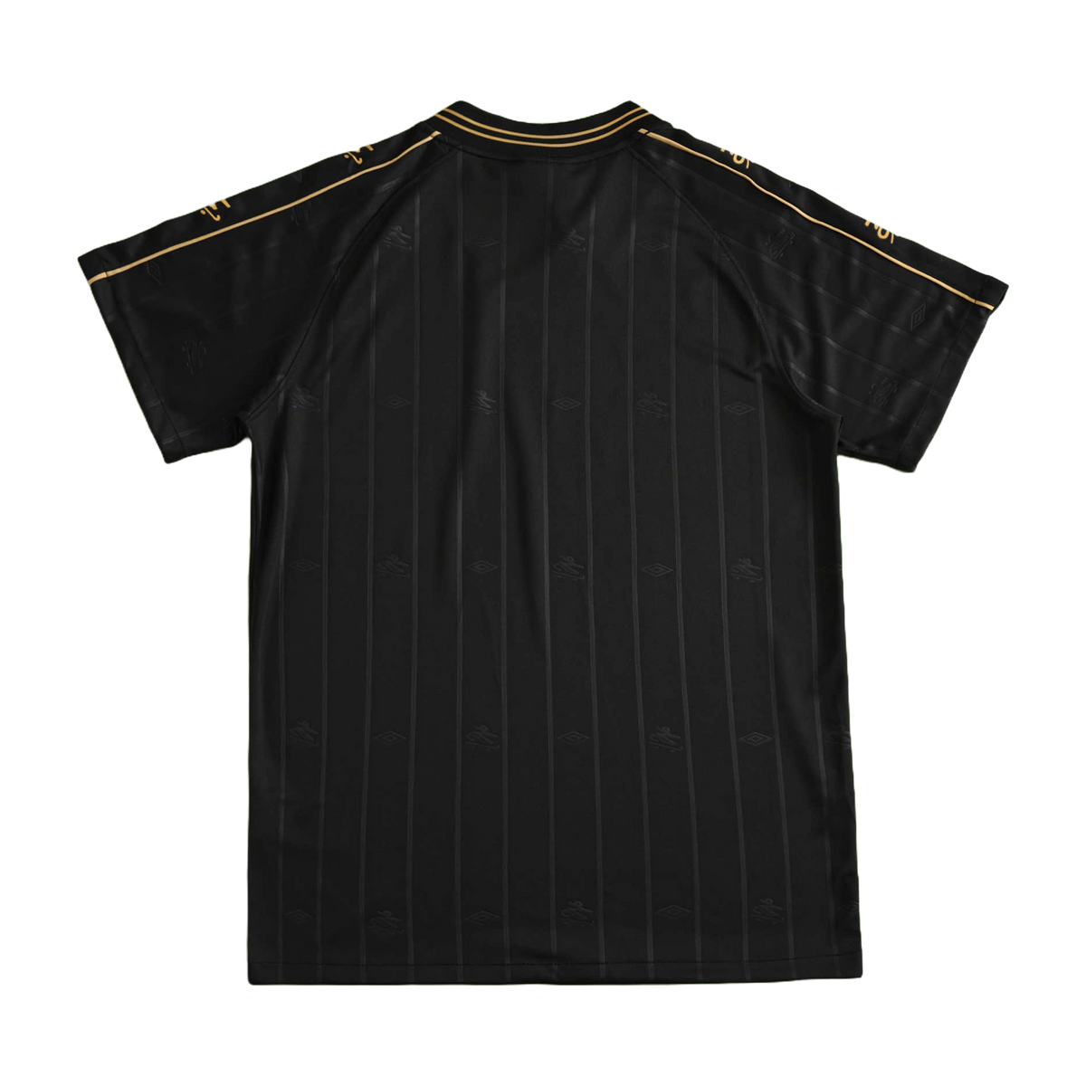 Santos Camiseta 2024/25
