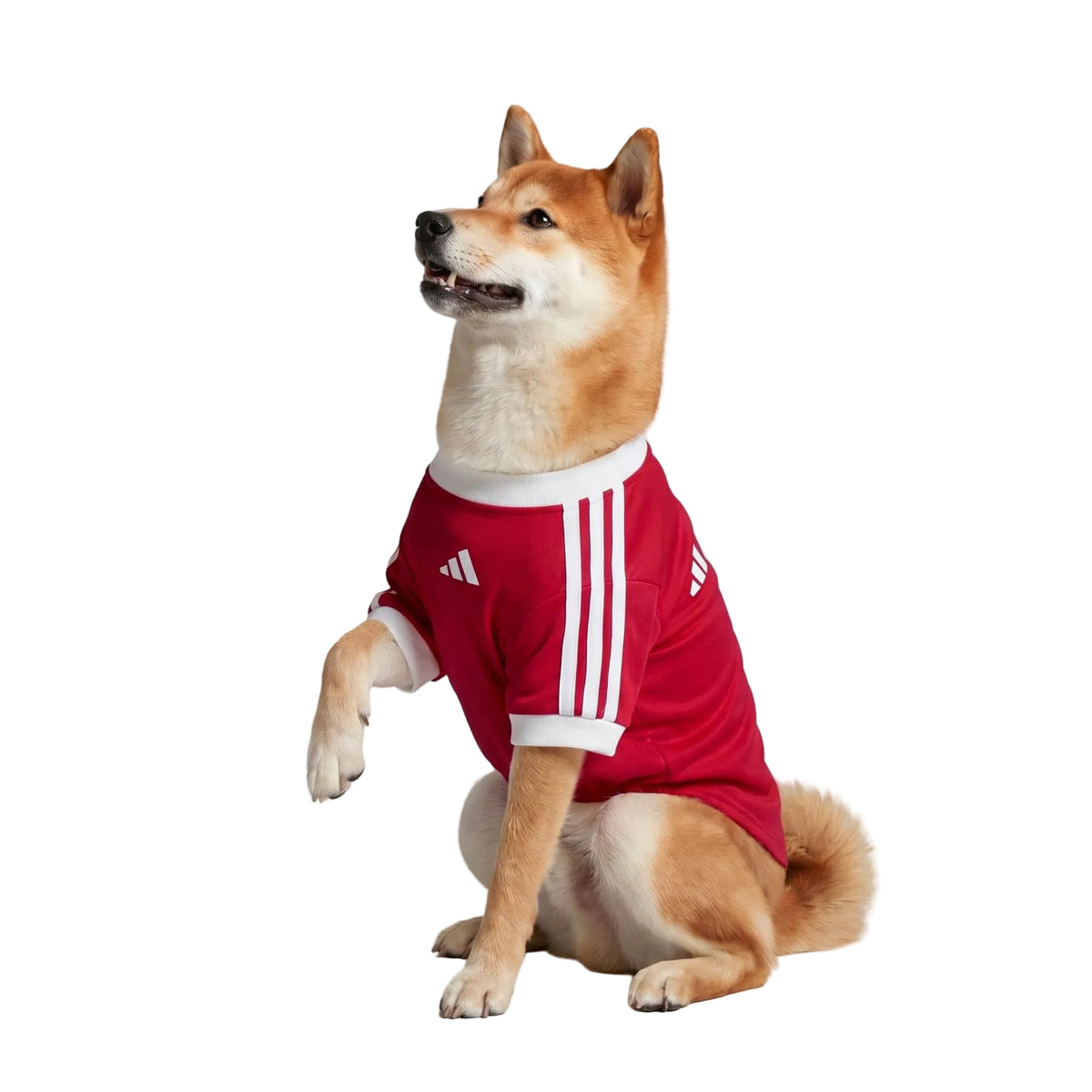 Manchester United Camiseta de Mascotas 2026/27