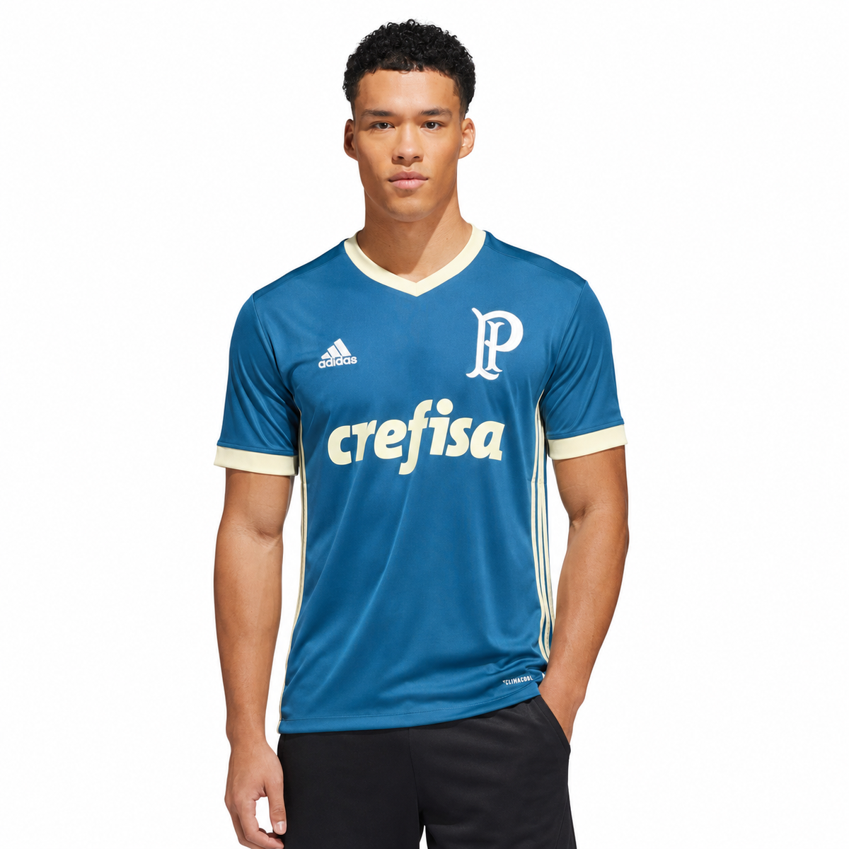 Palmeiras Camiseta Tercera 2017/18