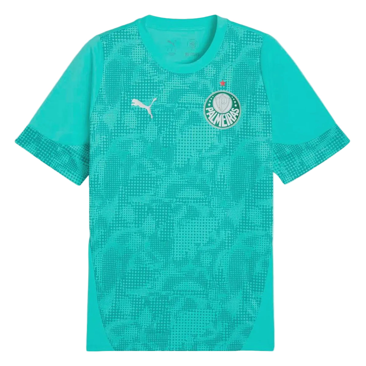 Palmeiras Camiseta Entrenamiento 2026/27
