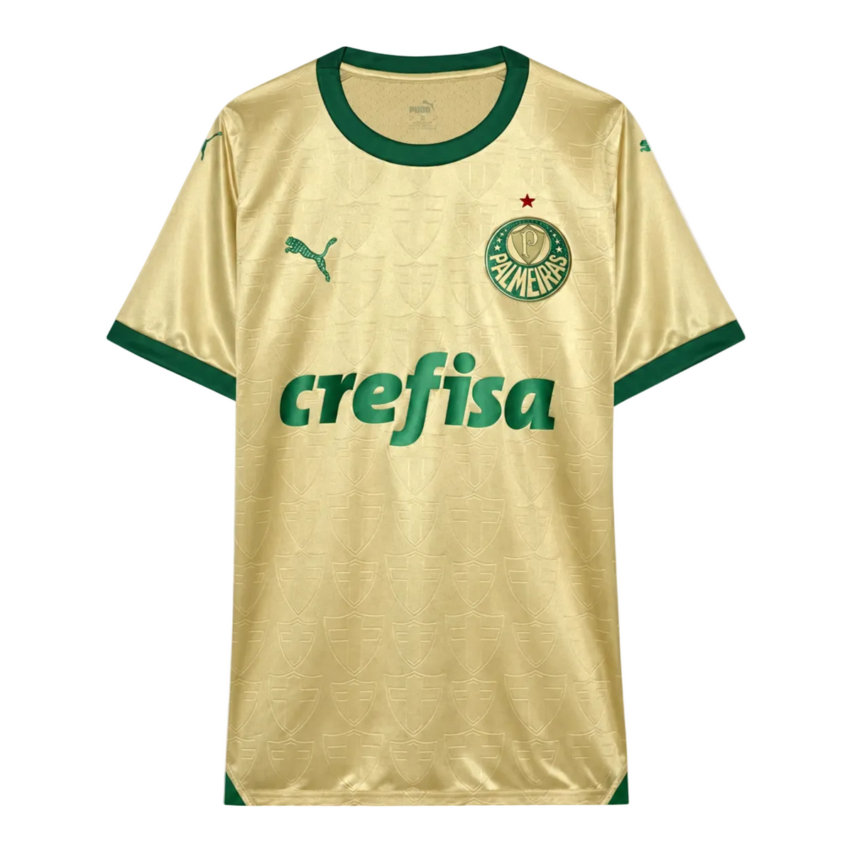 Palmeiras Player Tercera Camiseta 2024/25 - Versión Jugador