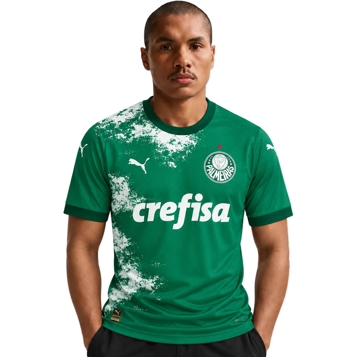 Palmeiras Camiseta 2024/25 - Edición Especial