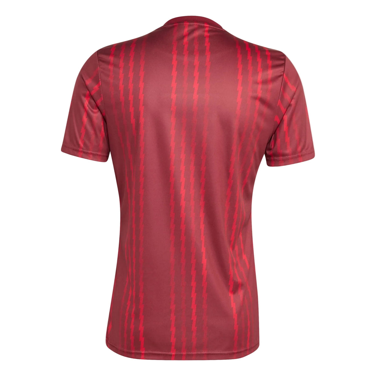 Arsenal Camiseta Prepartido 2025/26