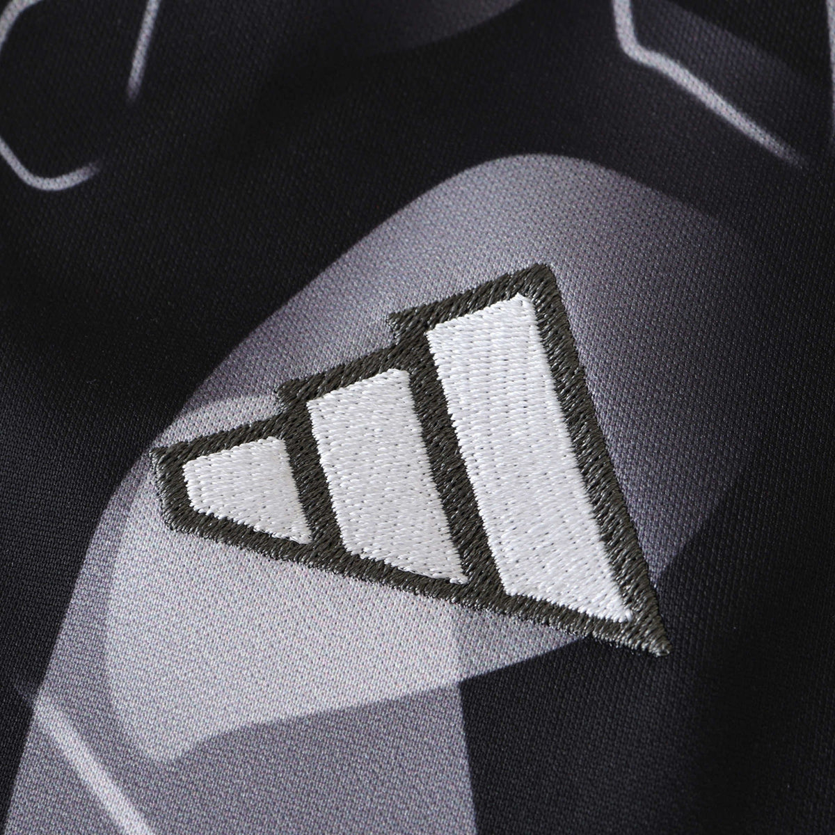 Benfica Camiseta Prepartido 2024/25