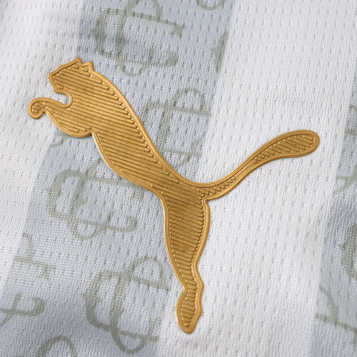 Chivas Camiseta Edición Especial I