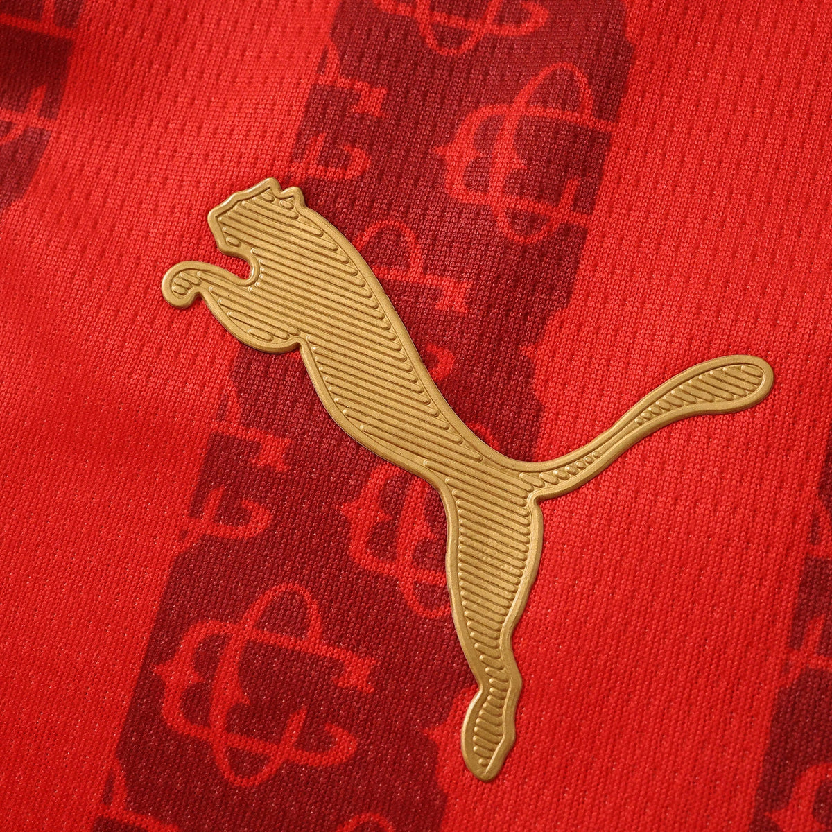 Chivas Camiseta Edición Especial II