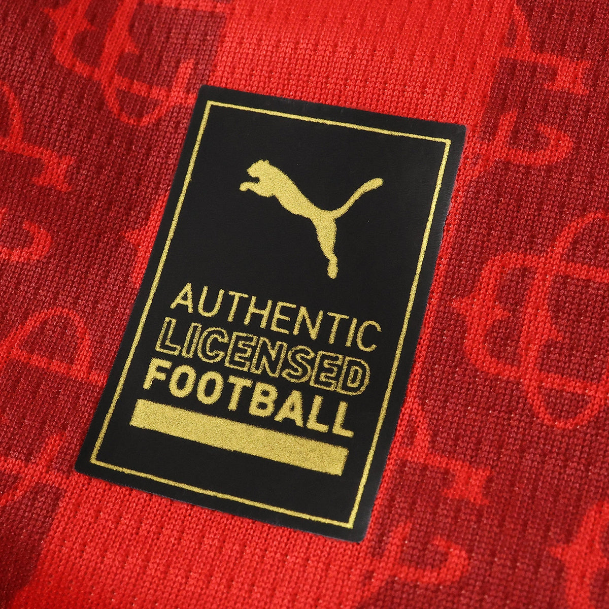 Chivas Camiseta Edición Especial II